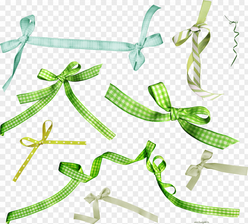 Clothing Accessories Fashion Clip Art PNG