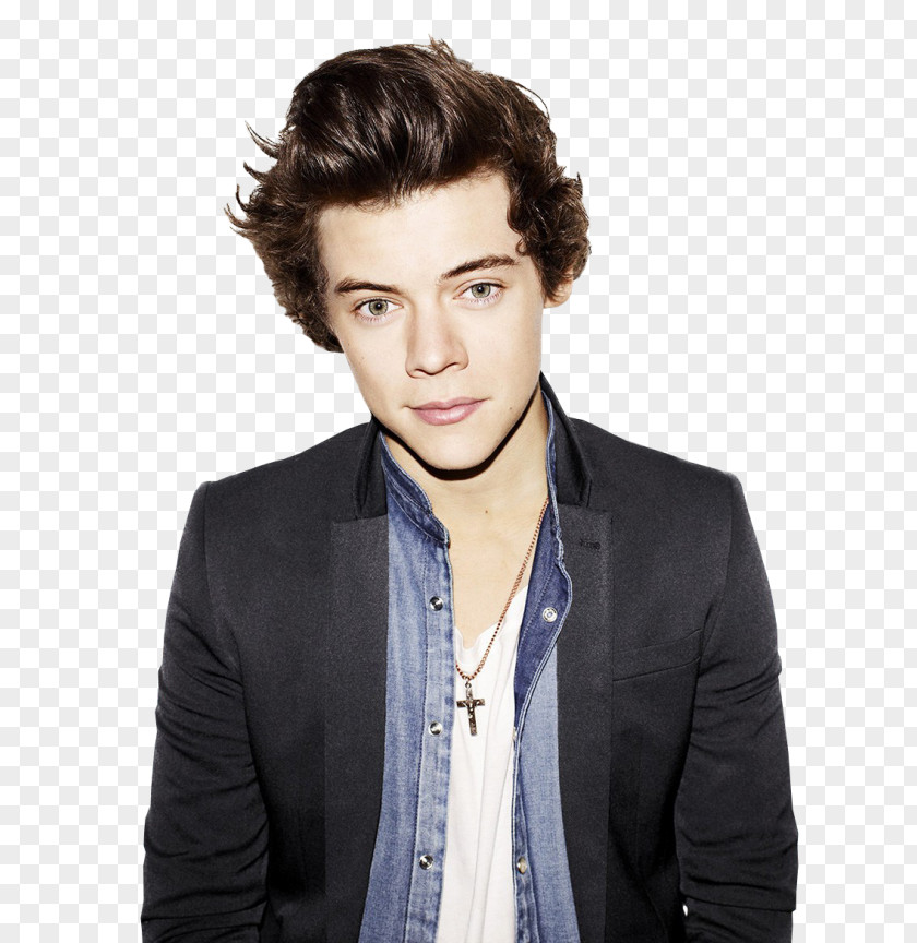 One Direction Harry Styles: Live On Tour The X Factor Photo Shoot PNG