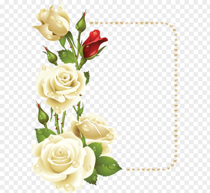Amour Flower Garden Roses Floral Design Picture Frames PNG