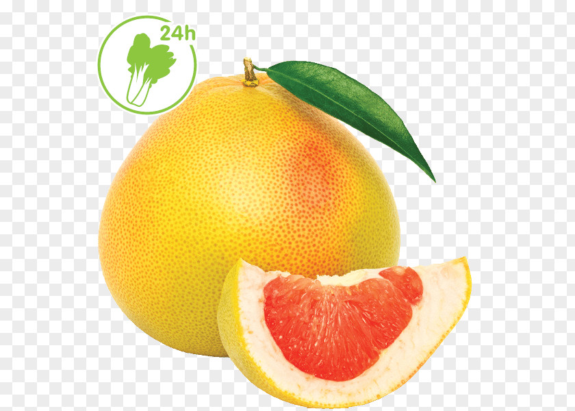Grapefruit Blood Orange Pomelo Citrus Junos Lemon PNG