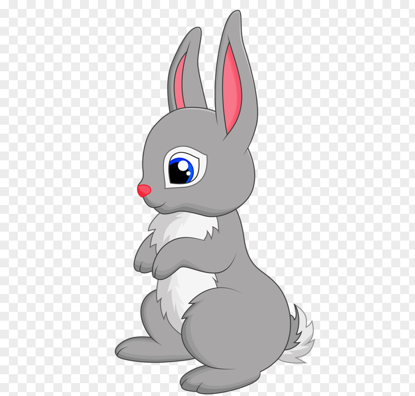 Rabbit Domestic Drawing Clip Art PNG