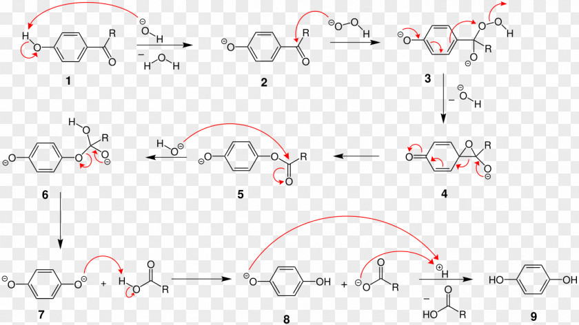 Reaction Mechanism Dakin Oxidation Redox Hydrogen Peroxide Copper(II) Sulfate Hydroquinone PNG