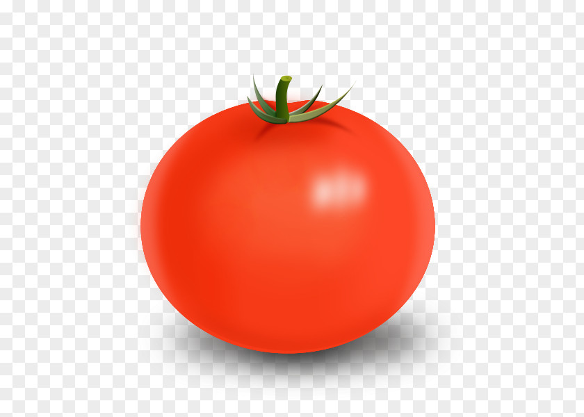 Tomato Plum Bush Food Apple PNG