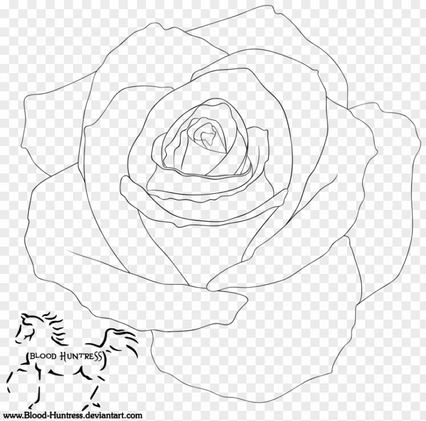 Design Garden Roses Line Art Floral PNG