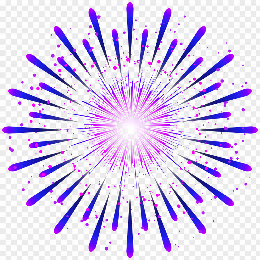 Firework Transparent Clip Art Image Paris Ahmedabad Look Good Feel Better Windsor Regional Hospital Learning PNG