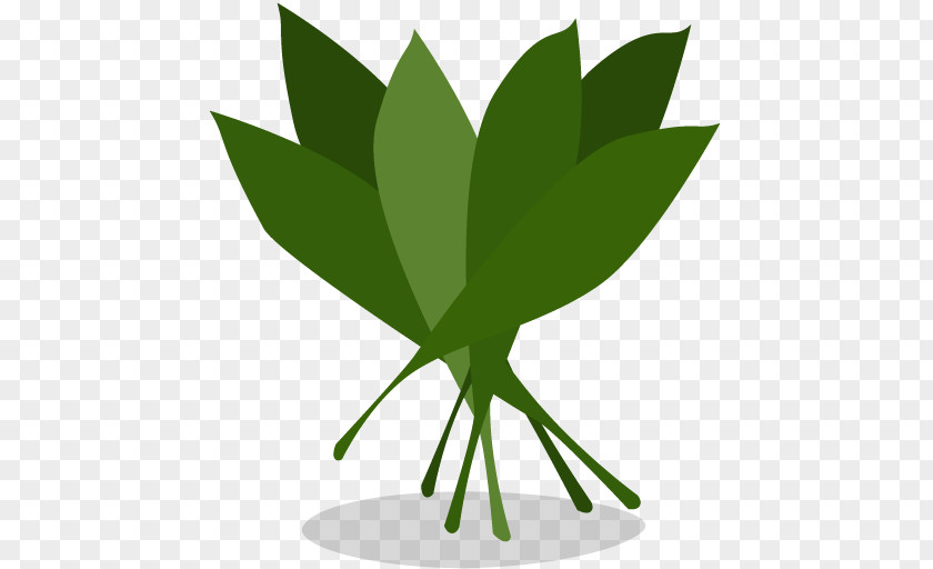 Greens Plant Leaf Tree Font PNG