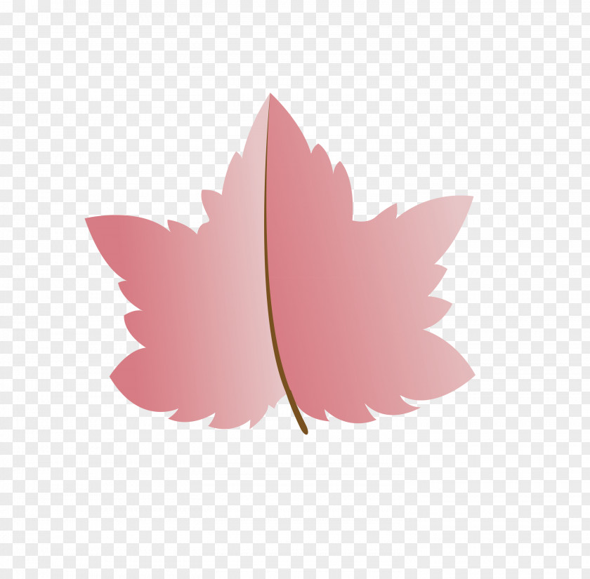 Leaf M-tree Petal Tree Plant Structure PNG