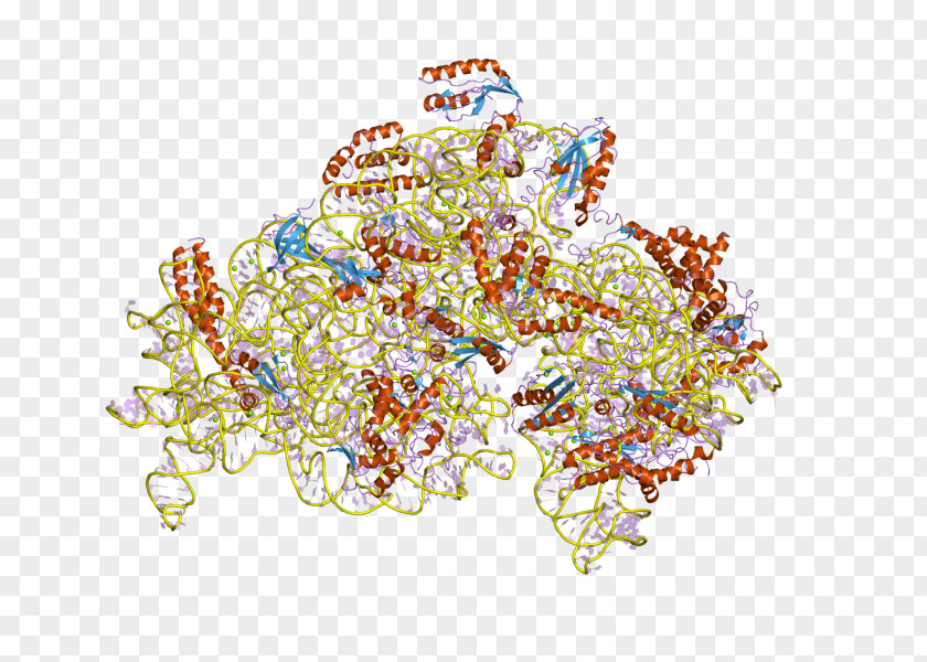 Ribosomal Protein S4 Domain Pfam PNG
