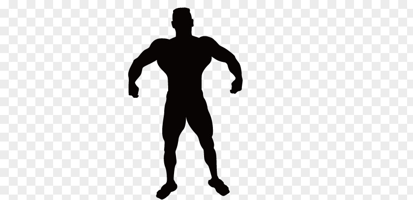 Fitness People Vitruvian Man Silhouette Muscle Clip Art PNG