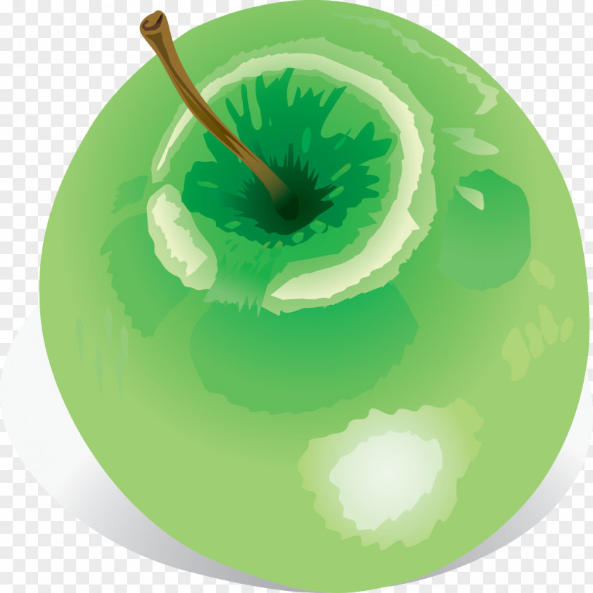 Painted Apple Euclidean Vector Photography Illustration PNG