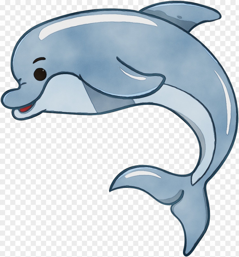 Porpoise Wholphin Dolphin Bottlenose Short-beaked Common Marine Mammal PNG