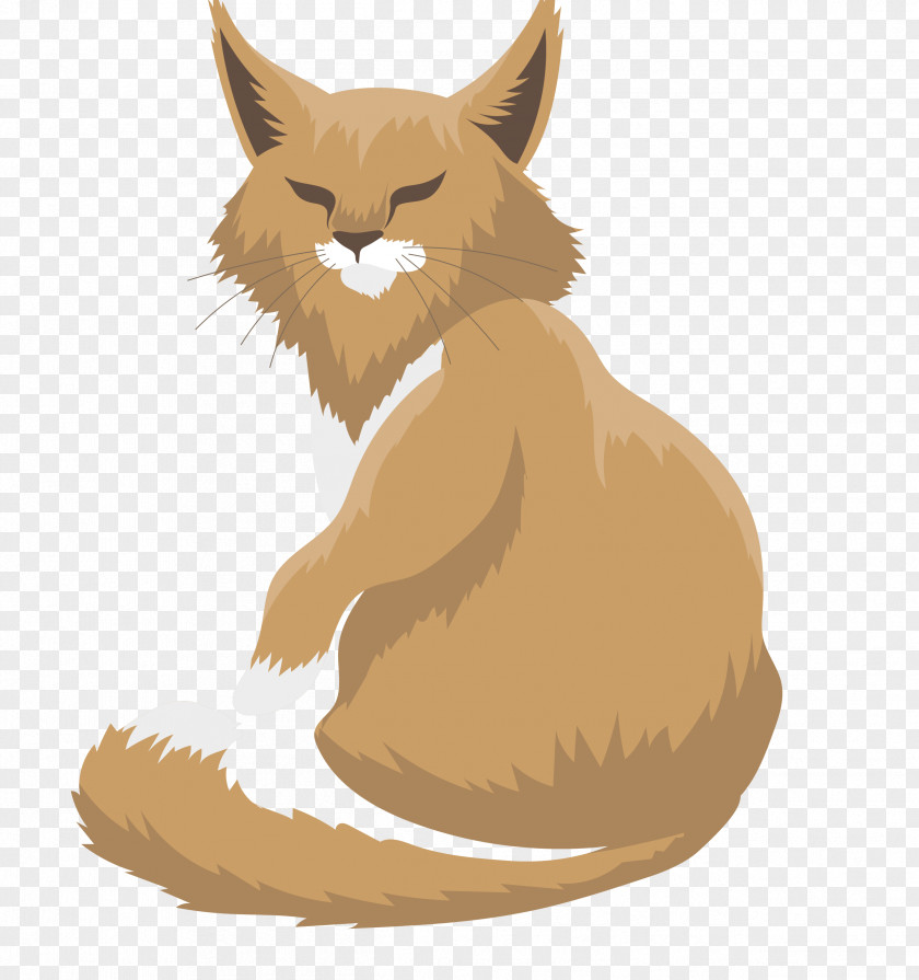 Vector Tiger Exotic Shorthair British Siamese Cat Maine Coon Whiskers PNG