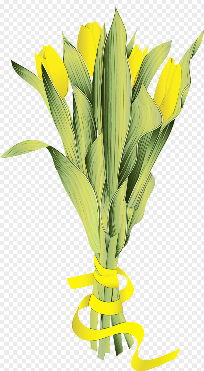 Floral Design PNG