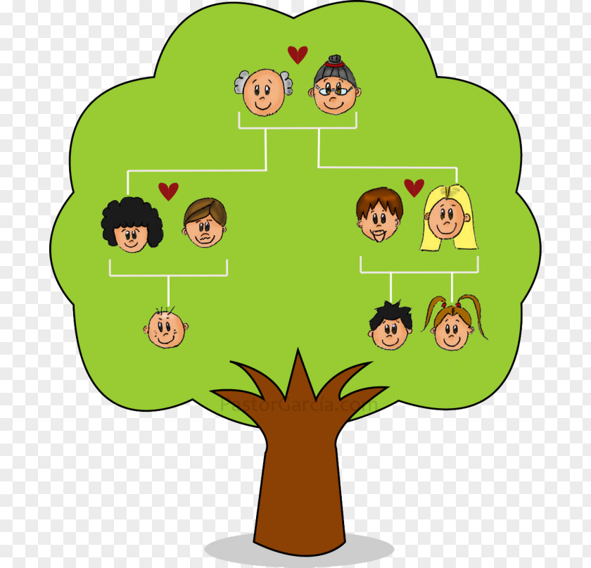 Plant Tree Family Drawing PNG