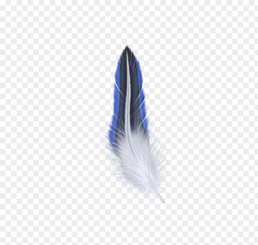 Related Feather Wings Tapestry Wall Mug Ounce PNG