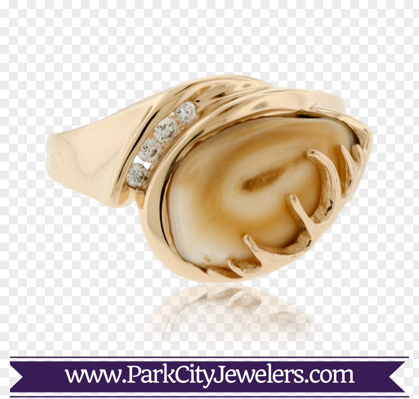 Steel Teeth Collection Ring Elk Jewellery Ivory Bracelet PNG