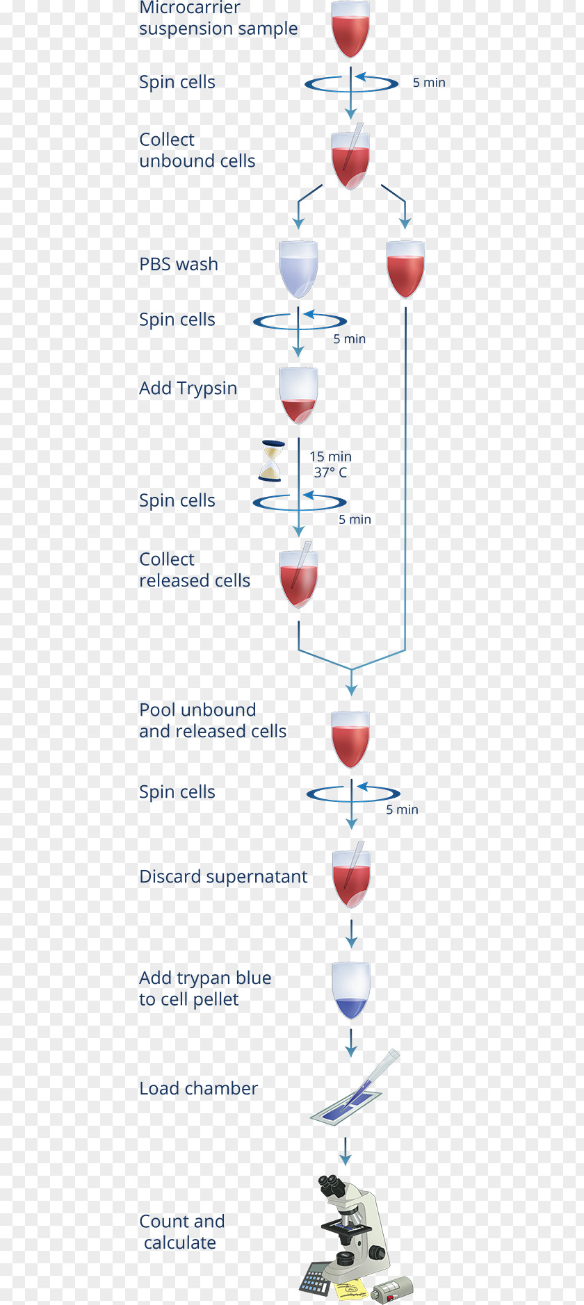 Straditional Culture Microcarrier Bioreactor Cell Counting Wine Glass PNG