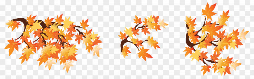 Autumn Leaves Branch Tree Desktop Wallpaper Clip Art PNG