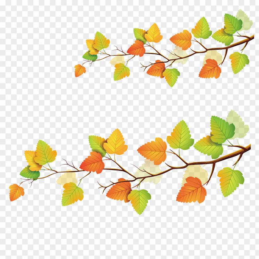 Autumn Tree Man Leaf Color PNG