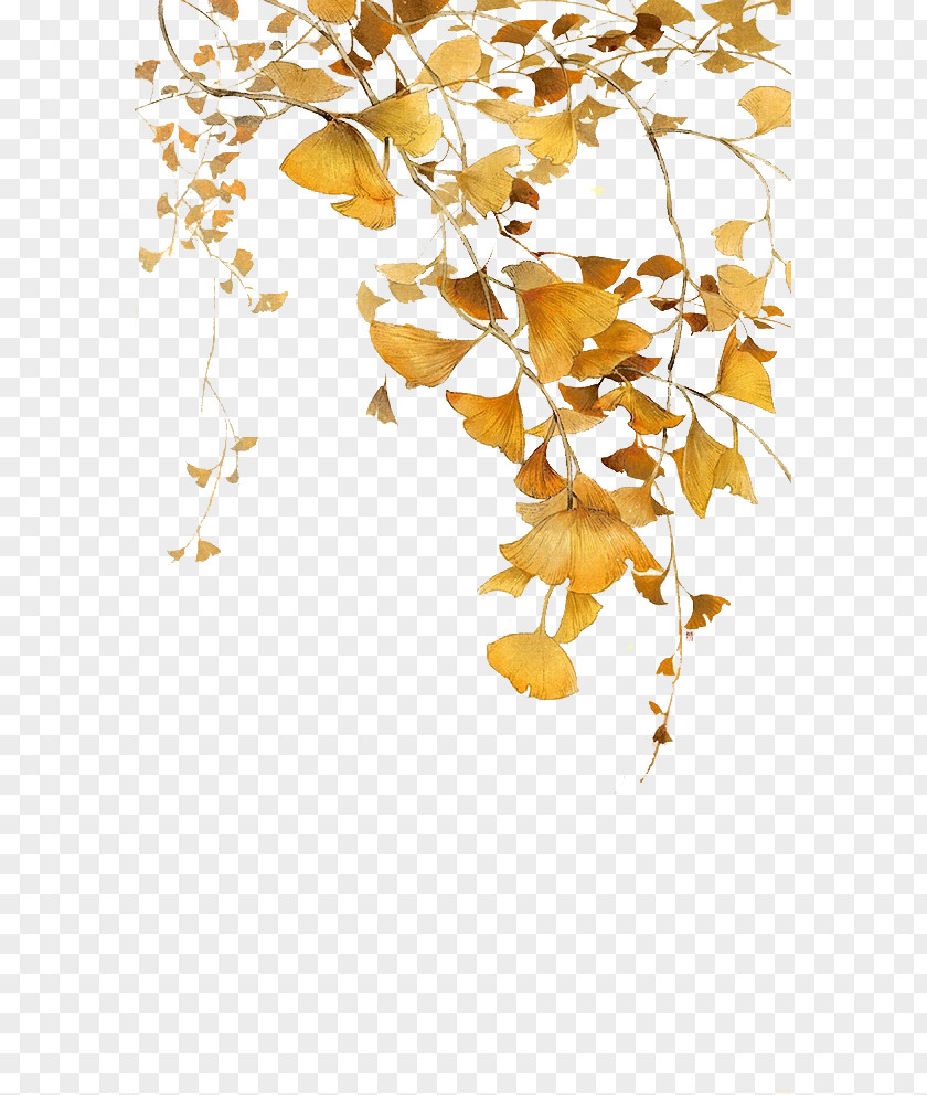 Autumn Yellow Ginkgo Leaves Leaf Biloba Icon PNG