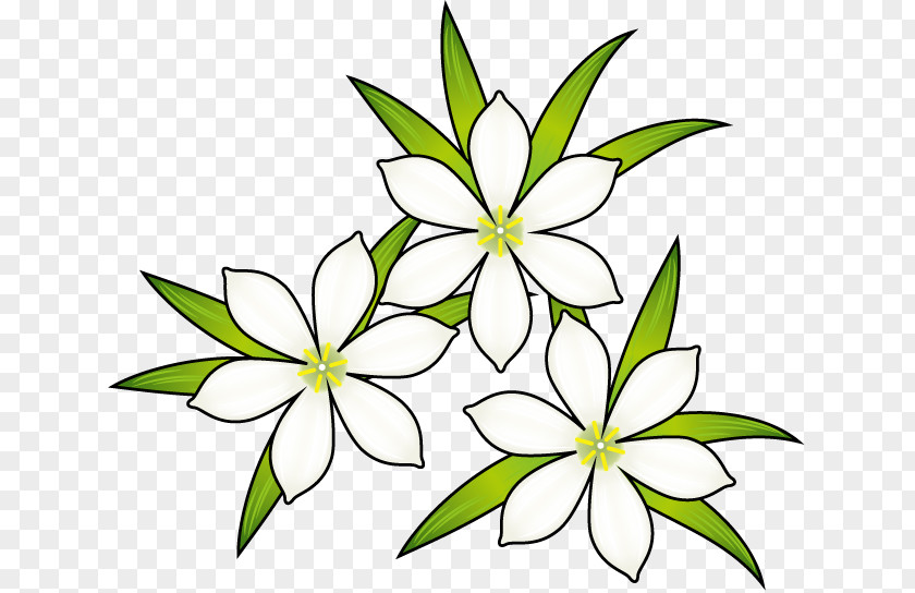 Flower Floral Design Clip Art Illustration Autumn PNG