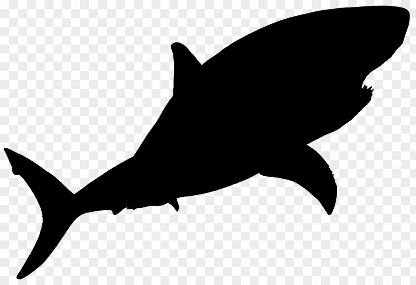 Shark Clip Art Fauna Silhouette Marine Mammal PNG