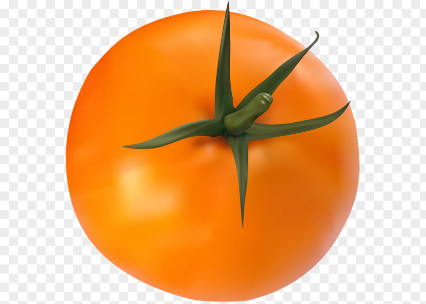 Tomato Vegetable Clip Art PNG