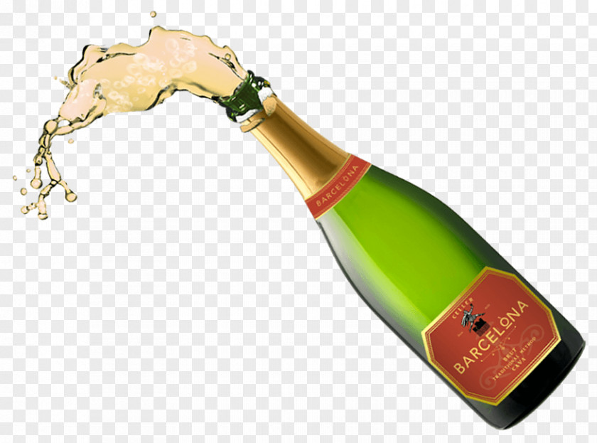 Champagne Sparkling Wine Bottle Cava DO PNG
