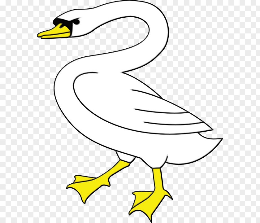 Duck Ducks Geese And Swans Bird White Beak Line Art Goose PNG