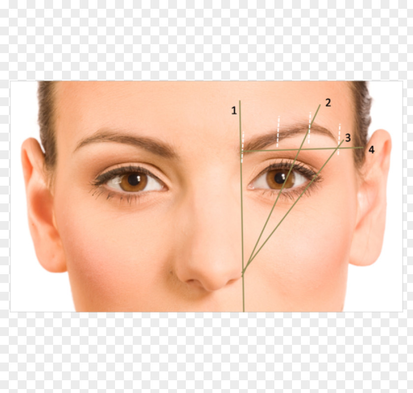Eyebrow Shape Threading Face Plucking PNG