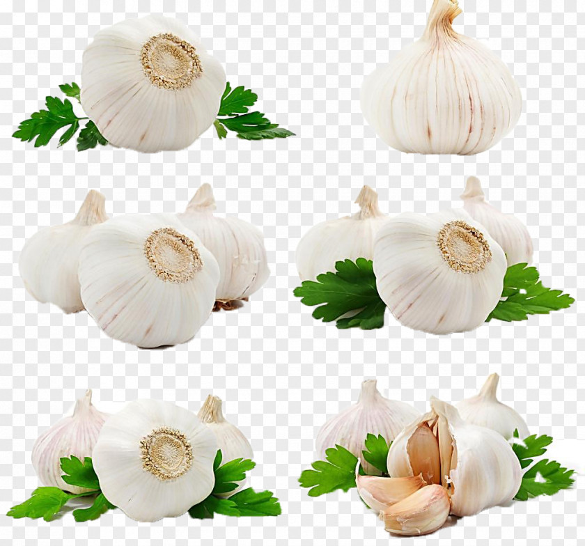 Garlic Oil Spice Food PNG