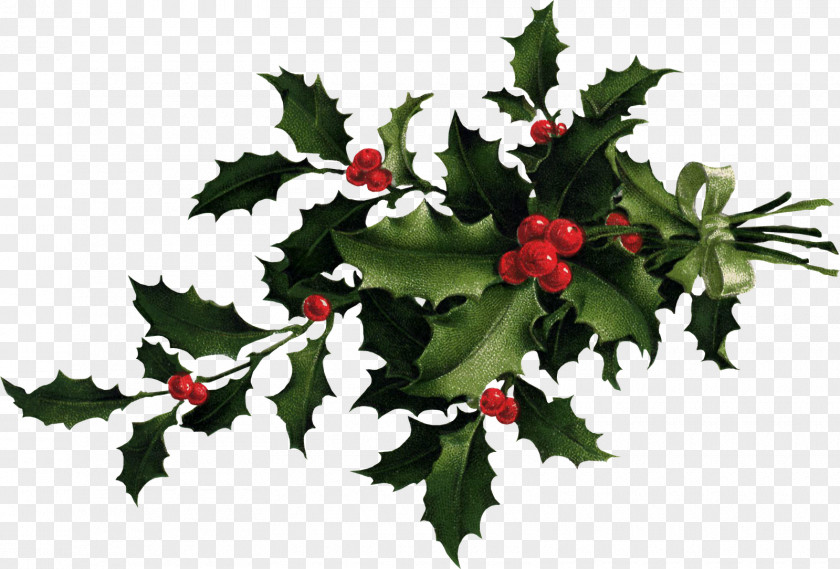 HOLLY Desktop Wallpaper Common Holly Christmas Clip Art PNG