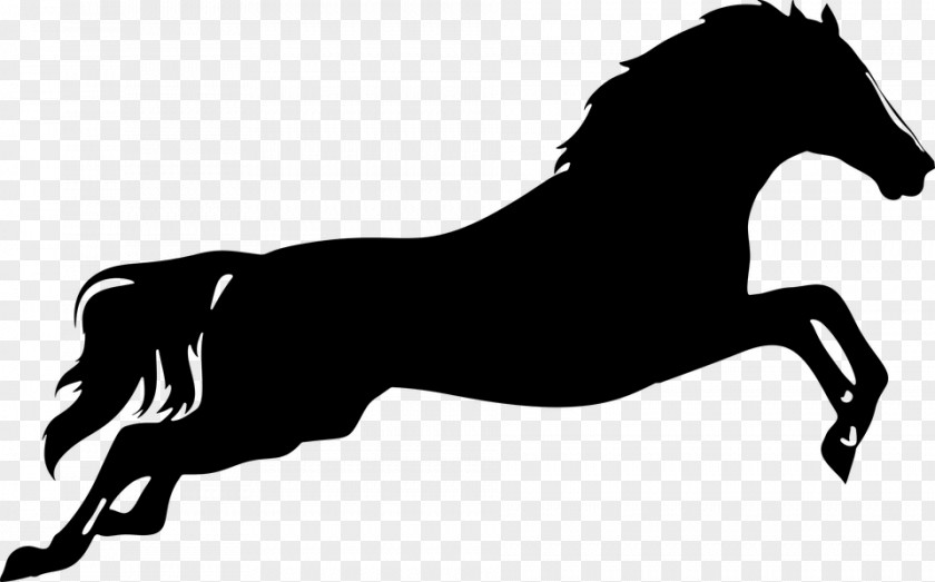 Horse Silhouette Clip Art Jumping Vector Graphics PNG