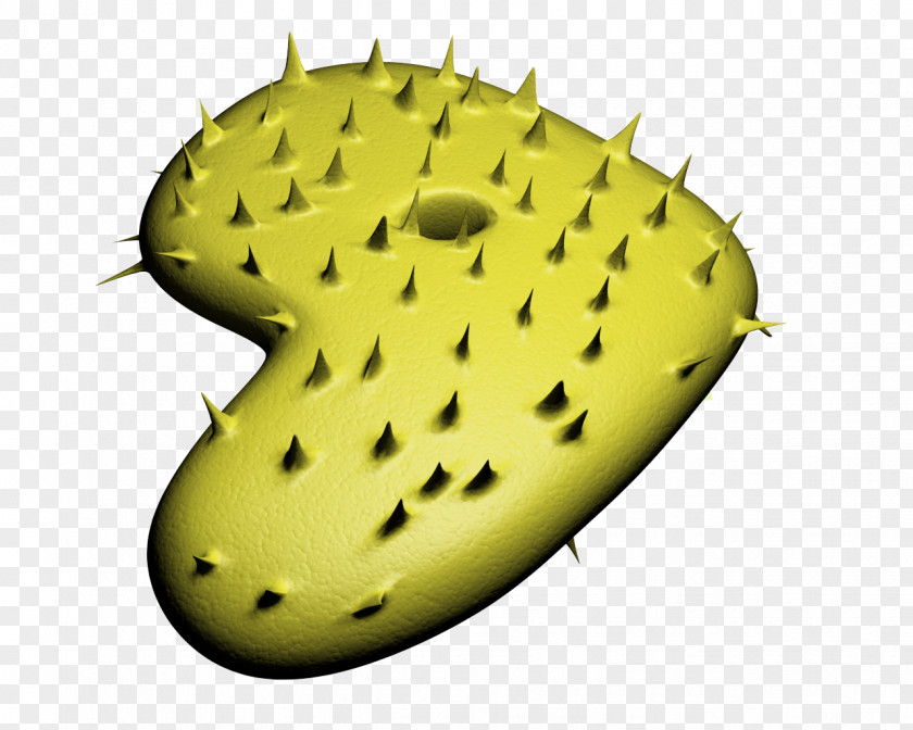 Insect Gentoo Linux Distribution Nopal PNG