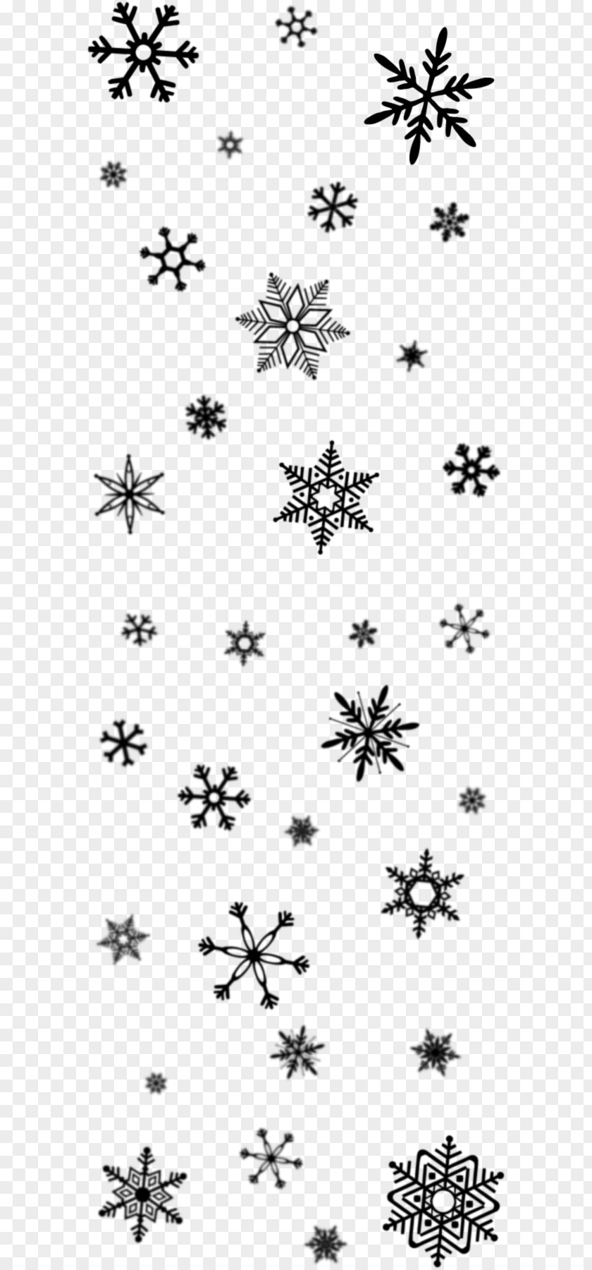 Pedicel Blackandwhite Snowflake Cartoon PNG