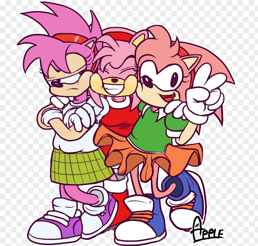 Sonic CD Amy Rose The Fighters Hedgehog Generations PNG