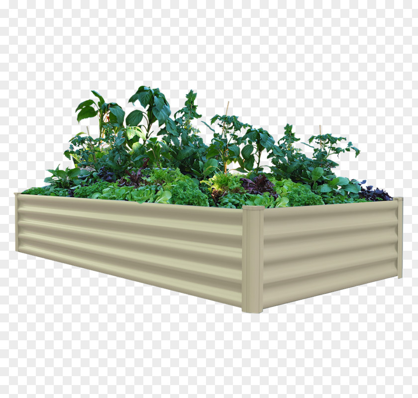 Vegetable Organic Food Raised-bed Gardening Garden Green Wall PNG