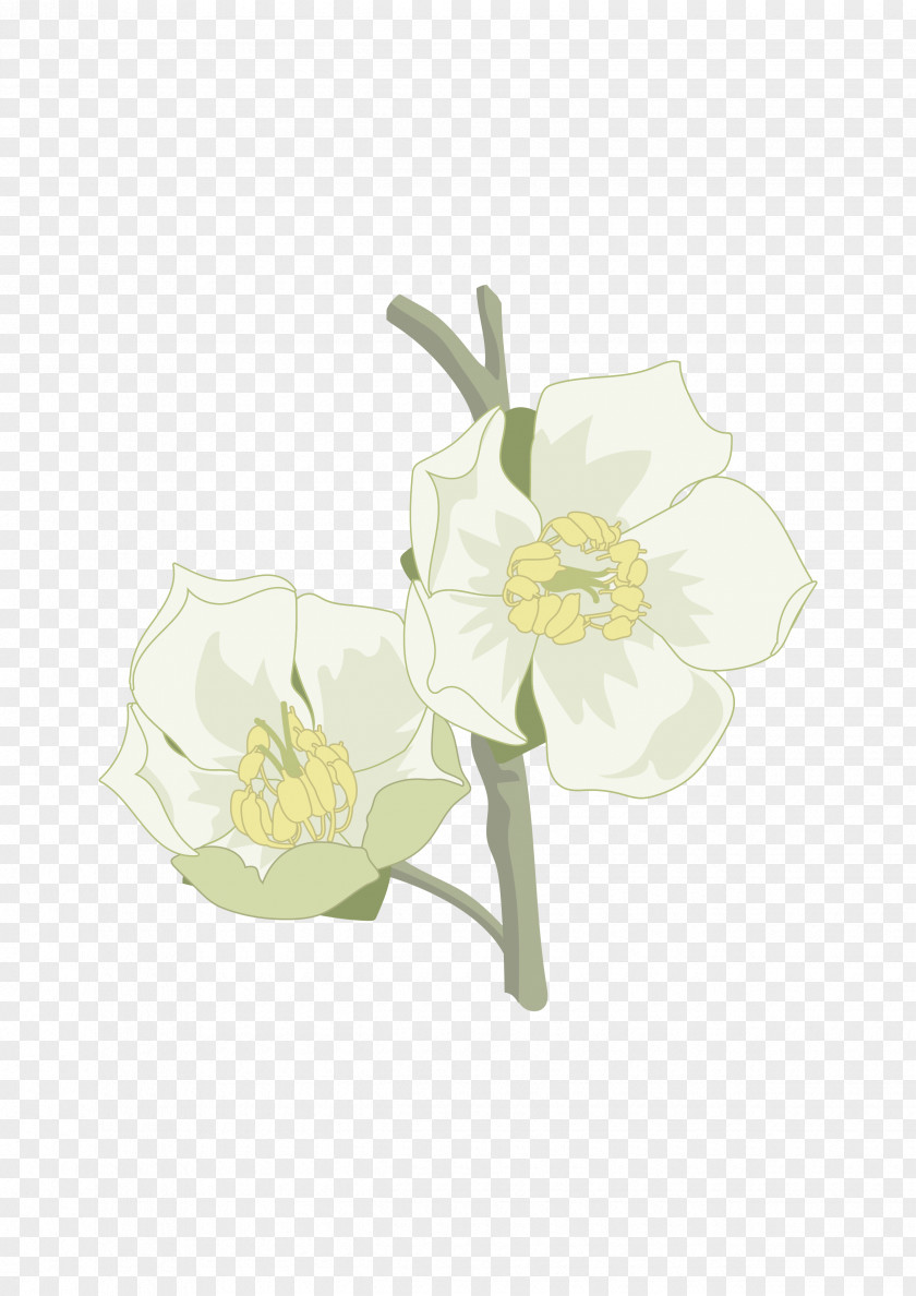 Flor Cut Flowers Floral Design Plant Stem PNG