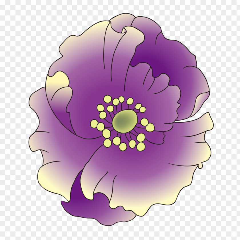 Purple Lotus In Full Bloom Drawing Woman Illustration PNG