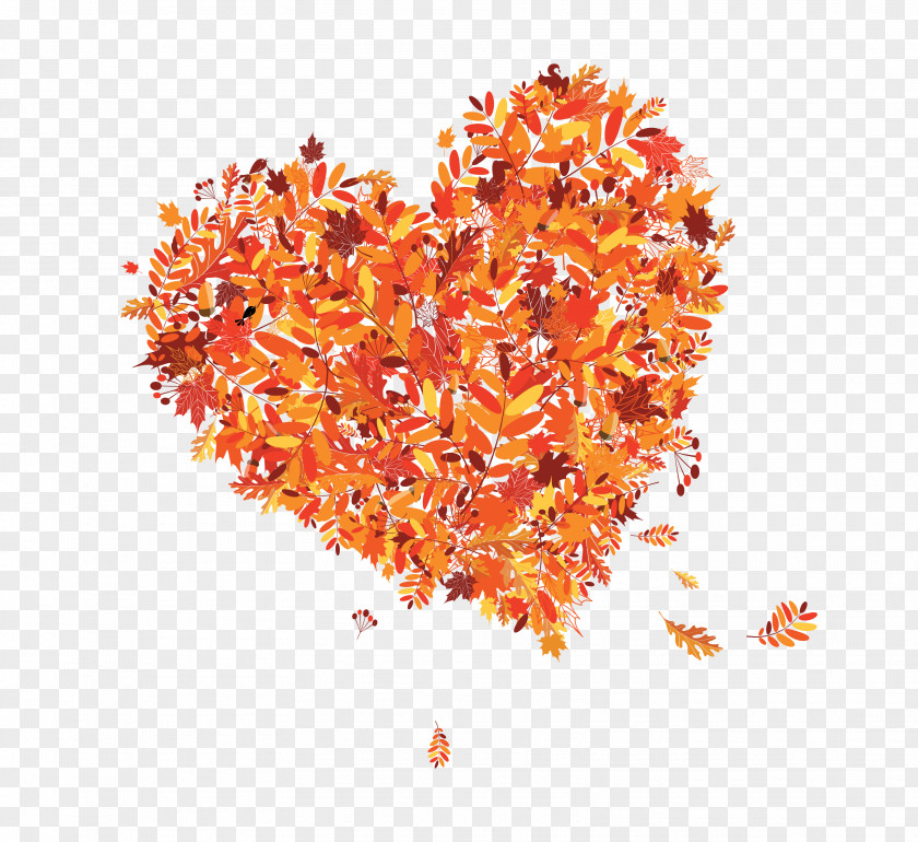 Autumn Leaves Parallel To Love 1 Leaf Color Yellow PNG