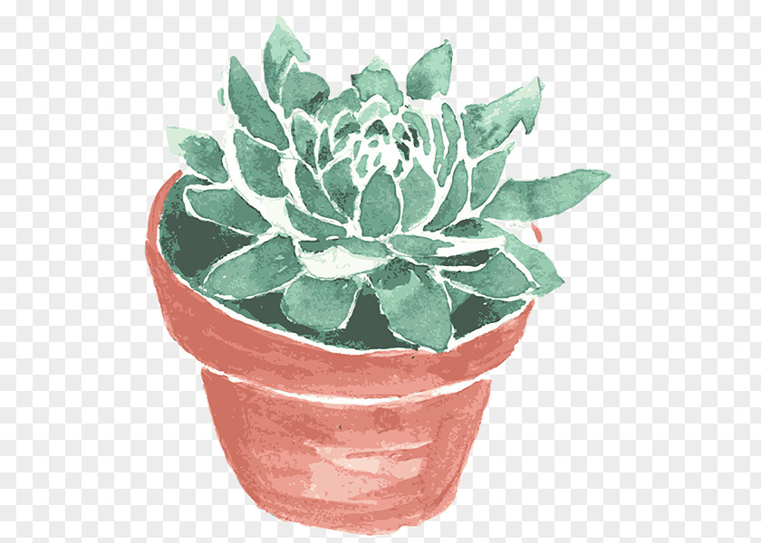 Plant Succulent Animaatio Drawing Paper Visiting Card PNG