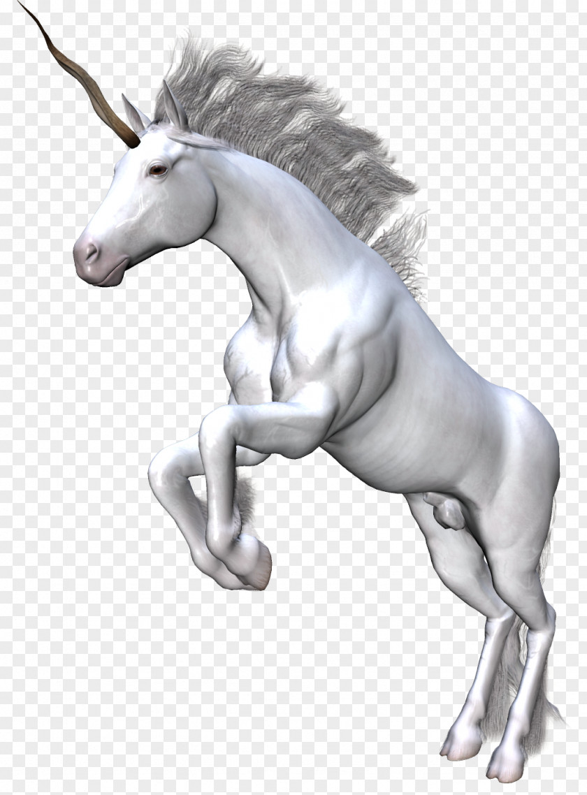Unicorns Unicorn Horse Fantasy Clip Art PNG