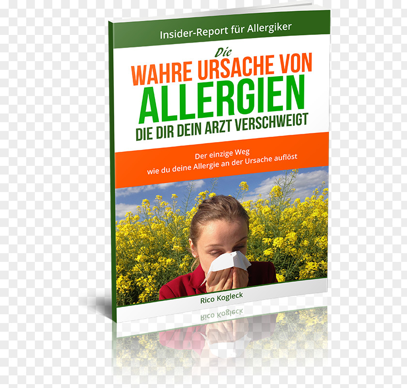 Allergy Respiratory Disease Essential Oil System PNG