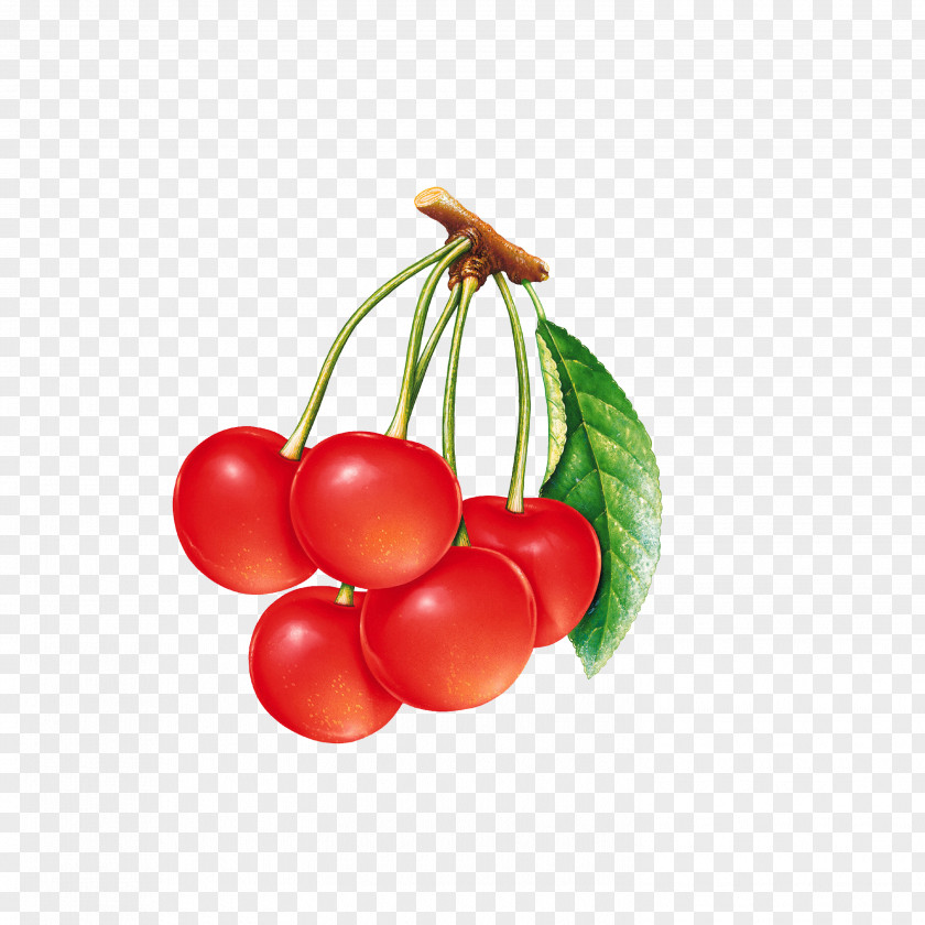 Cherry Berry Blossom Fruit Wallpaper PNG