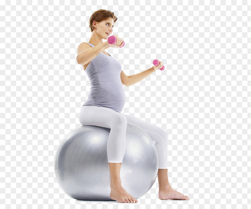 Exercise Balls Pilates Personal Trainer Weight Training PNG