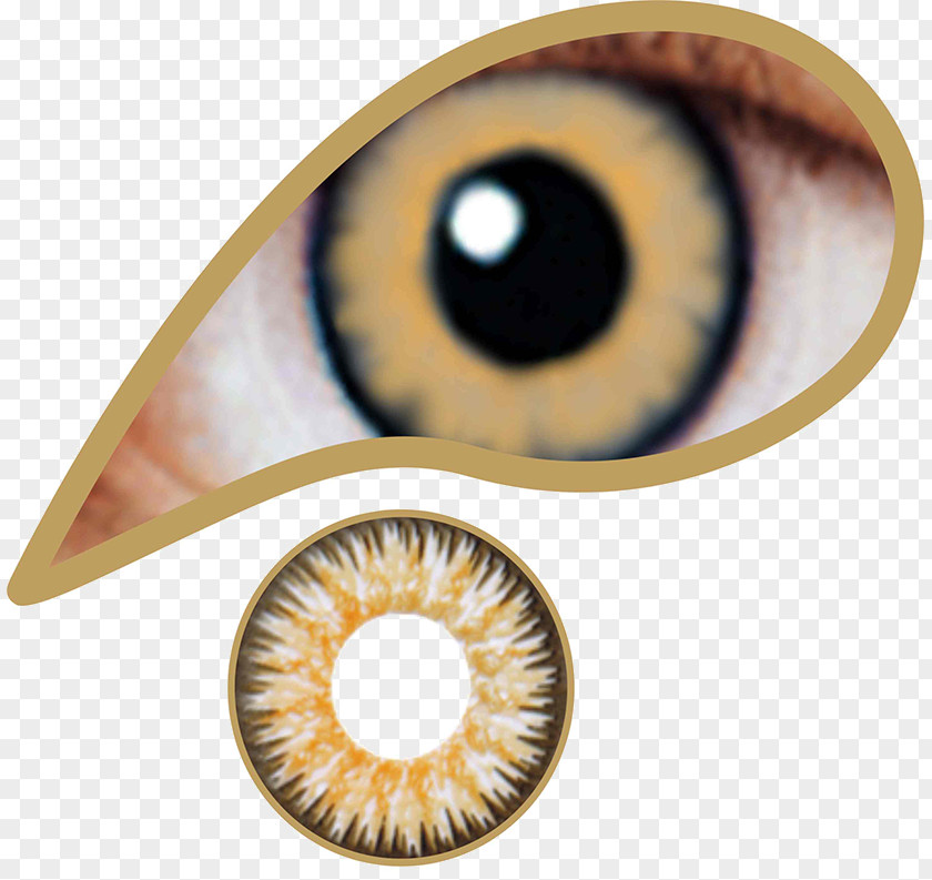 Eye Contact Lenses Circle Lens Brown Color PNG