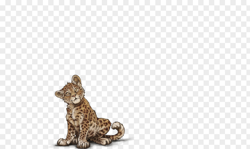 Female Lion Leopard Big Cat Cheetah PNG