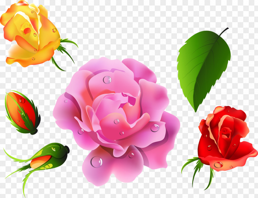 Rosas Flower Rose Desktop Wallpaper Clip Art PNG