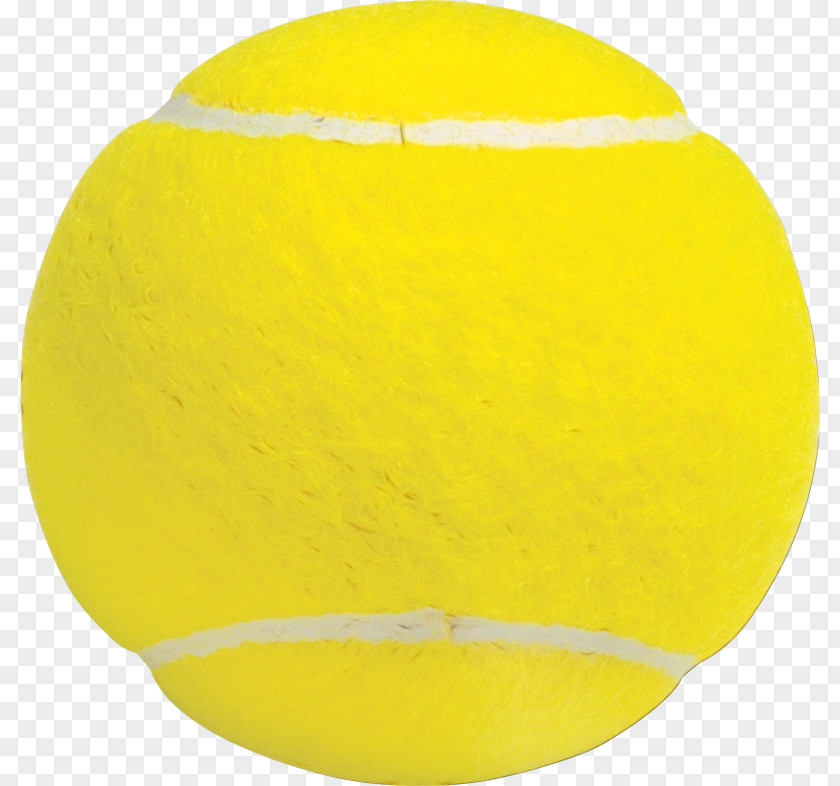 Cricket Magnet Tennis Ball PNG