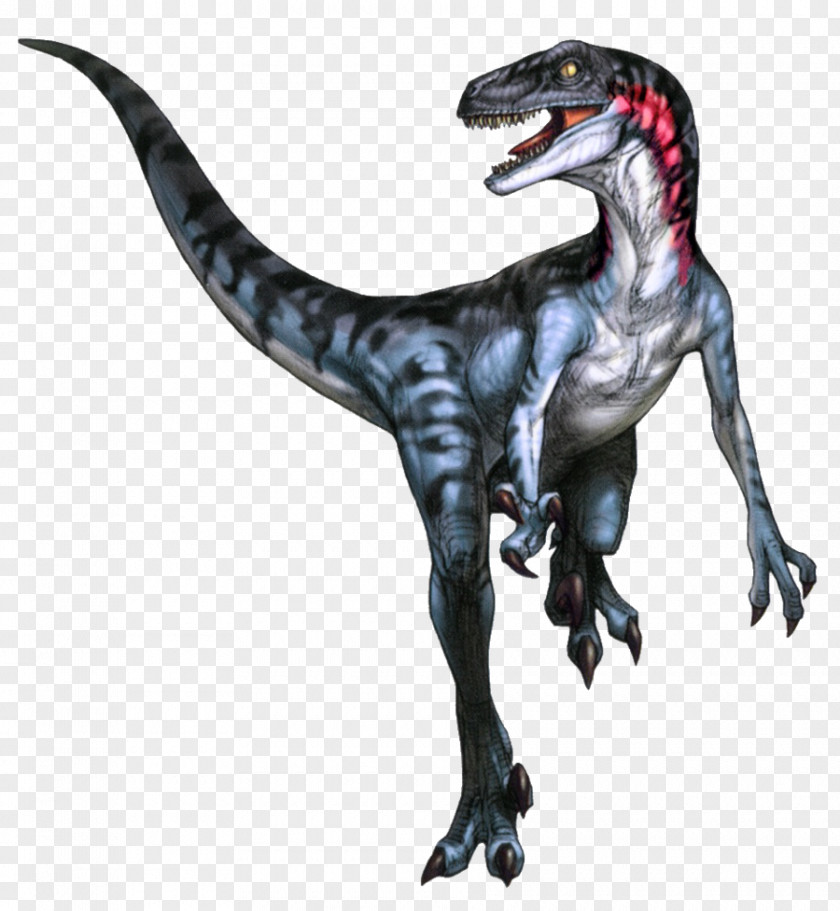 Dinosaur Velociraptor Utahraptor Tyrannosaurus Theropods PNG